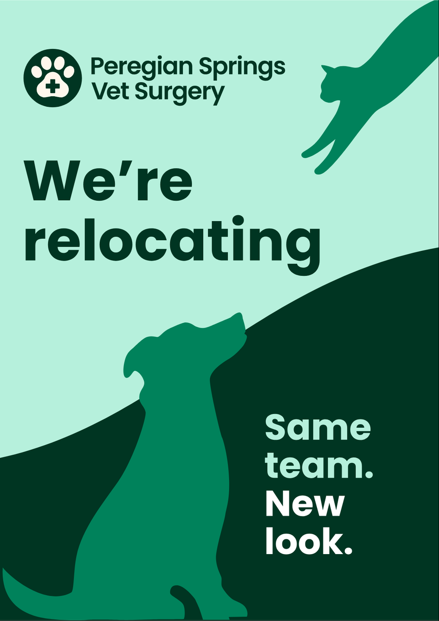 We're relocating &ndash; same team, new look. Peregian Springs Vet Surgery.