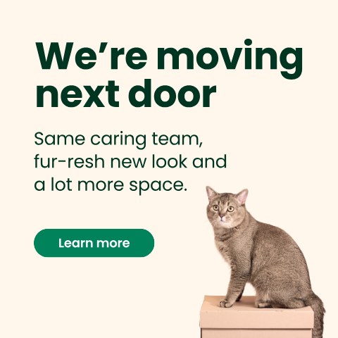 We're moving next door. Same caring team, fur-resh new look and a lot more space. Learn more.